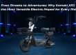 Versatile Electric Moped