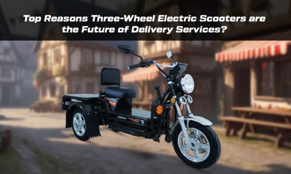 WhatsApp Image 2025-03-30 at 11.22.36 AM (1) Three-Wheel Electric Scooters